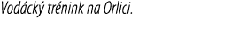 Vod ck tr nink na Orlici.