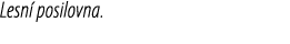 Lesn posilovna.