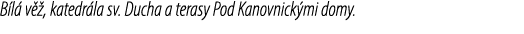 B l v  , katedr la sv. Ducha a terasy Pod Kanovnick mi domy.
