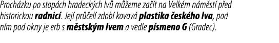 Proch zku po stop ch hradeck ch lv m  eme za  t na Velk m n m st  p ed historickou radnic . Jej  pr  el  zdob  kovov...