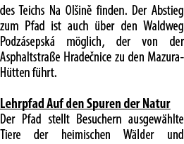 des Teichs Na Ol in finden. Der Abstieg zum Pfad ist auch  ber den Waldweg Podz sepsk  m glich, der von der Asphalts...