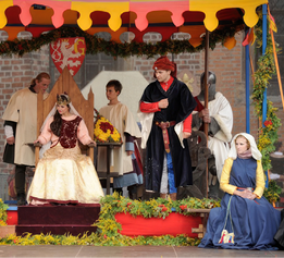 Slavnosti kr lovny Eli ky v Hradeci Kr lov . 