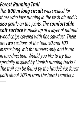 Forest Running Trail This 800 m long circuit was created for those who love running in the fresh air and is also gent...