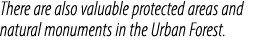 There are also valuable protected areas and natural monuments in the Urban Forest.