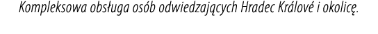 Kompleksowa obs uga os b odwiedzaj cych Hradec Kr lov i okolic .